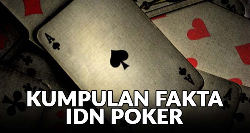 Kumpulan Fakta IDN Poker